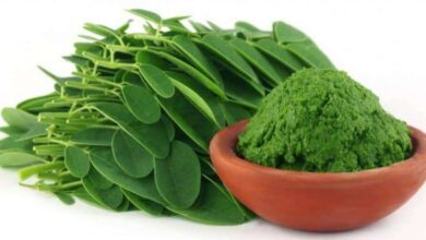 Mucizevi Sebze: Moringa
