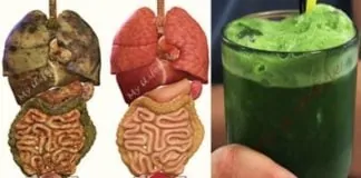 Vücudunuzdaki Tüm Toksinleri Ve Yağları Atacak Süper İçecek