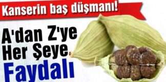 A'dan Z'ye Her Şeye Faydalı...Kanserin Baş Düşmanı!