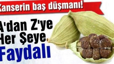 A'dan Z'ye Her Şeye Faydalı...Kanserin Baş Düşmanı!