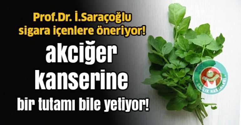 Akciğer kanserine karşı mutlaka tüketmeli!