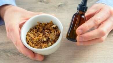 Arılardan Gelen Doğal Antibiyotik 'Propolis'