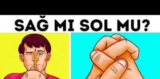Beyninizin hangi tarafı baskın? Bu basit testi uygulayarak öğrenebilirsiniz