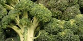 Brokoli-yoğurt kanseri unut