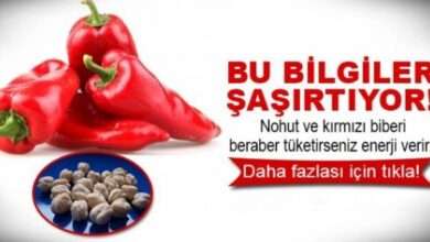 Bu bilgiler çok işinize yarayacak!