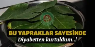 Bu yapraklar sayesinde diyabetten kurtuldum.