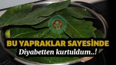 Bu yapraklar sayesinde diyabetten kurtuldum.