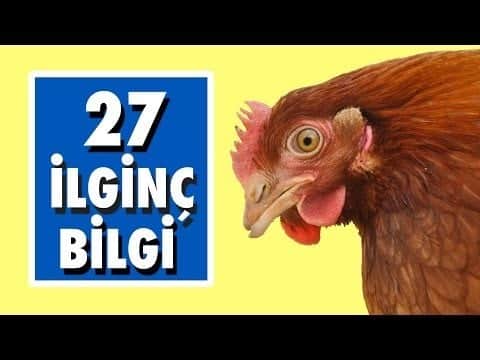 Çoğunuzun ilk defa duyacağı 27 ilginç bilgi