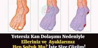 Elleriniz Ve Ayaklarınız Sürekli Üşüyor Mu? Çözüm Düşündüğünüzden Daha Kolay!