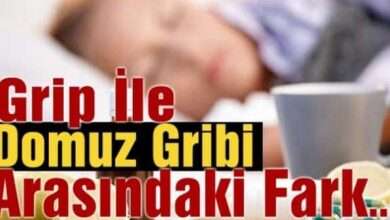 Grip İle Domuz Gribi Arasındaki Fark...