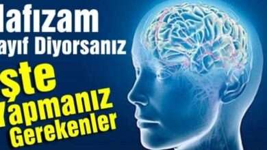 Hafızam zayıf diyorsanız işte yapmanız gerekenler