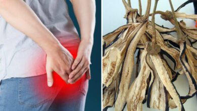 Hemoroit hastalığının çaresi patlıcan sapı