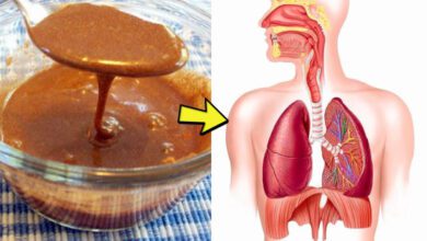 Her gün bal ve tarçın karışımı yiyince vücudunuzda bakın neler oluyor