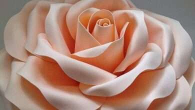 Hobi sevenlerin yeni gözdesi eva kağıdı