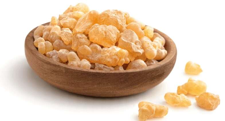 Akg&uuml;nl&uuml;k (Boswellia Serrata) Bitkisi&nbsp;