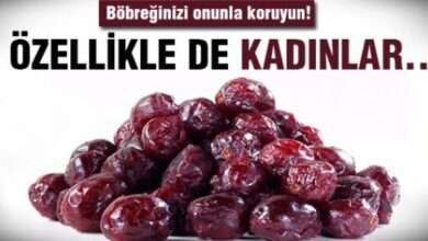 İşte böbreklere faydalı besinler...