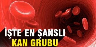 İşte En Şanslı Kan Grubu!
