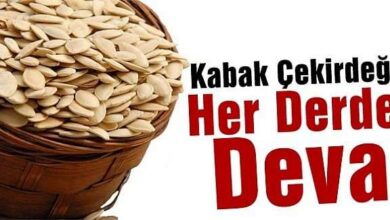 Kabak çekirdeği neye iyi geliyor?