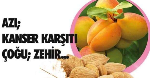 Kansere Karşı Acı Kayısı Çekirdeği