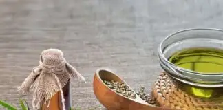 Kenevir Yağının Mucizevi Faydaları