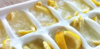 Limonu Dondurup Yemeklere Atarsanız Bakın Neler Oluyor!