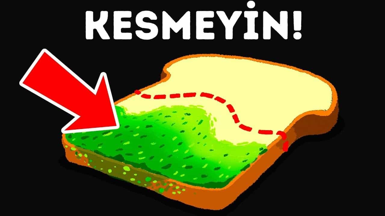 maxresdefault 56 Küflü Ekmek Yerseniz Bakın Ne Oluyor!