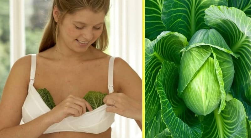 maxresdefault 72 Göğüslerine Lahana Sardı Sonuca İnanamadı!