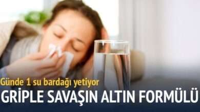 Maydanozlu limonlu çay