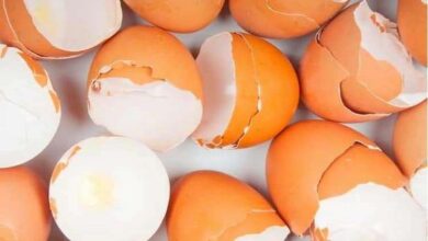 Yumurta Kabuğunun Sürpriz Kullanımları
