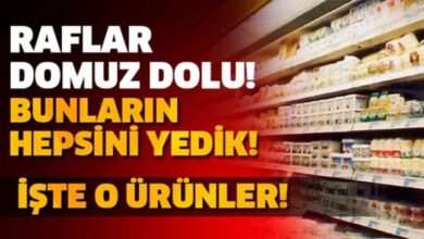 Raflar domuz dolu! Maalesef bunların hepsini yedik..!