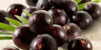 Şifa Kaynağı Mucizevi Bitkiler