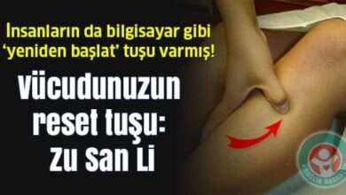 Vücudunuzun uzun ömür noktası”: Zu San Li