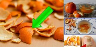 Çöp Sanıp Attığınız Mandalina Kabuğunun Bilinmeyen Faydaları