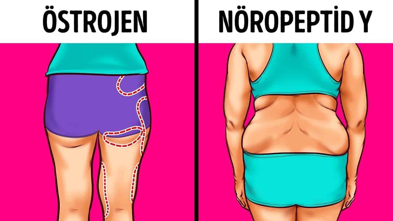 maxresdefault 20 Hangi Hormonlar Kilo Almanıza Sebep Olur? Çözümü Nedir?
