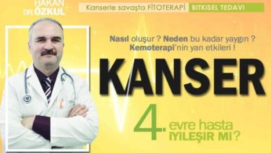 4. Evre Kanser Hastaları İçin Fitoterapi
