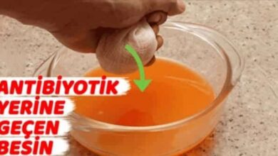 Antibiyotik Yerine Geçen Besin