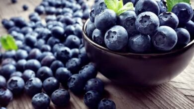 Berry Blueberries Many 530330 1280x1024 1 Acaiberry Çileği Neye İyi Gelir? Acaiberry Çileğinin Faydaları Nelerdir?