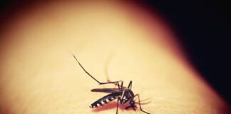 Sivrisineklerin bulaştırabileceği hastalıklar nelerdir?