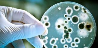 Avrupa’da antibiyotiğe direnç gösteren bakteri salgını korkutuyor!