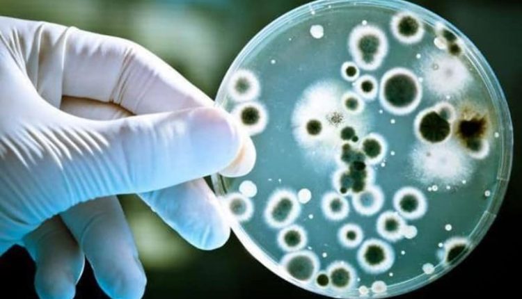 Avrupa’da antibiyotiğe direnç gösteren bakteri salgını korkutuyor!