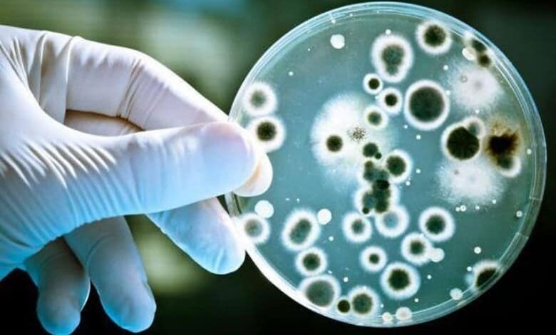 Avrupa’da antibiyotiğe direnç gösteren bakteri salgını korkutuyor!