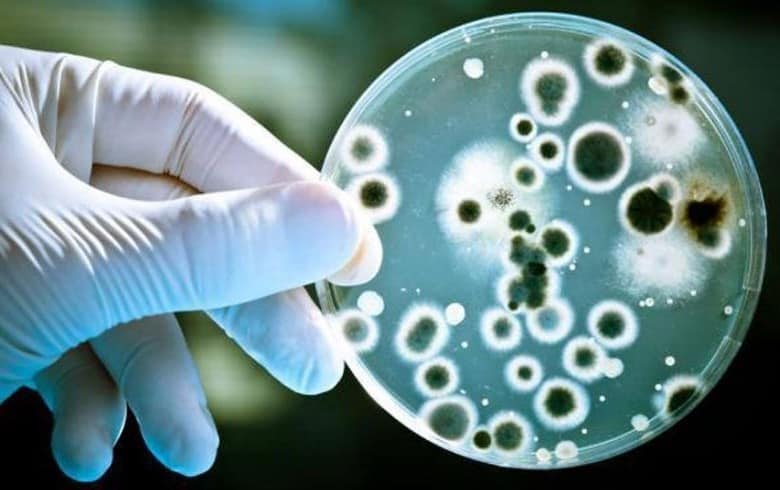 Avrupa’da antibiyotiğe direnç gösteren bakteri salgını korkutuyor!