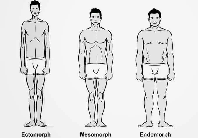 Endomorf vücut tipine sahip kişiler nasıl beslenmelidir?