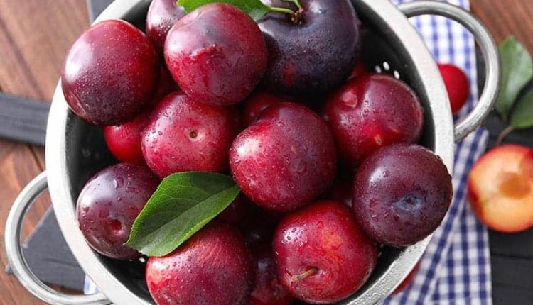 Hipertansiyon, parkinson ve alzheimera kırmızı erik