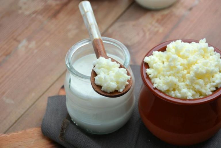 Kefirin faydaları neler, kefir neye iyi gelir? Evde kefir nasıl yapılır?