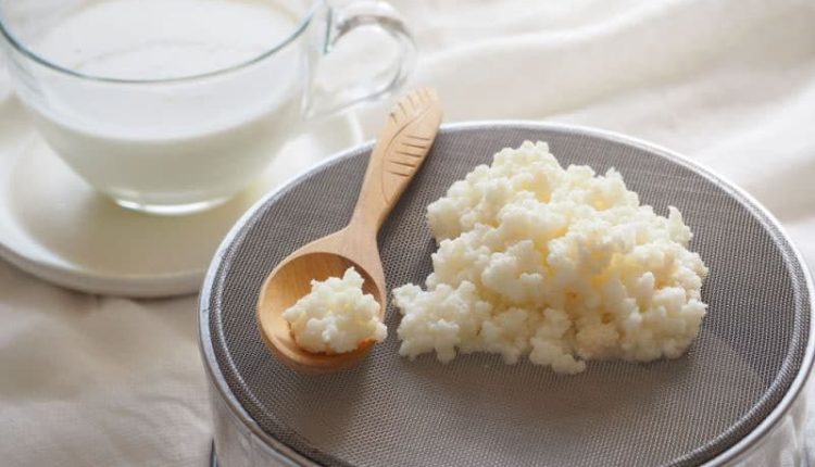 Kefirin faydaları neler, neye iyi gelir? Evde kefir nasıl yapılır?