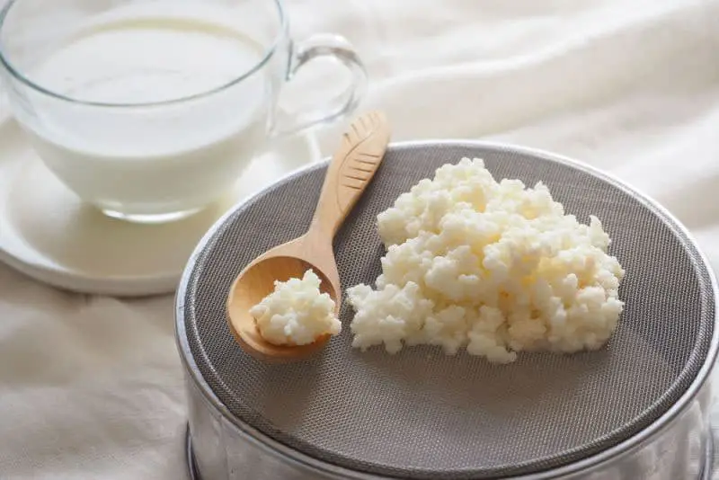 Kefirin faydaları neler, neye iyi gelir? Evde kefir nasıl yapılır? 24 Kefirin faydaları neler, neye iyi gelir? Evde kefir nasıl yapılır?