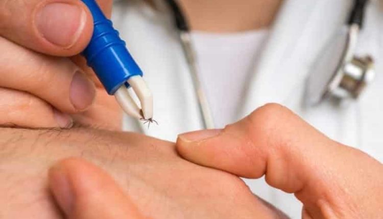 Kene ısırması ve Kırım Kongo Kanamalı Atesi hastalığı belirtileri, tedavisi ve önlemler!