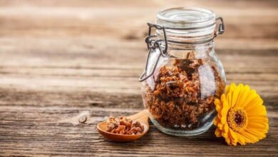 Propolis nedir, faydaları zararları neler, çocuklarda nasıl kullanılır?