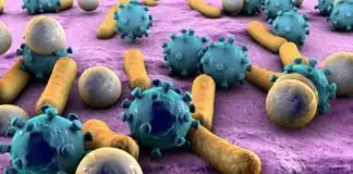 Dünya Sağlık Örgütü’nden önemli uyarı! Evdeki bakteriler kanser nedeni